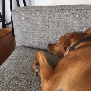 Meet your Posher, Jessi